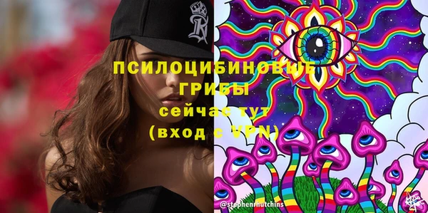 меф Медвежьегорск