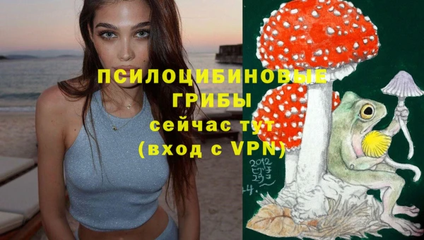 сатива Шали