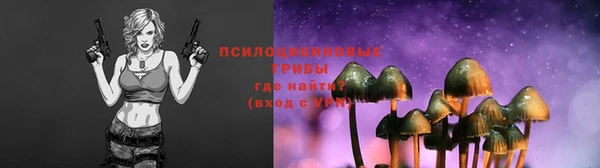 меф Медвежьегорск