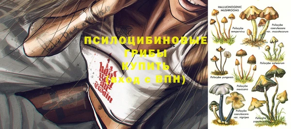 МДПВ Шарыпово
