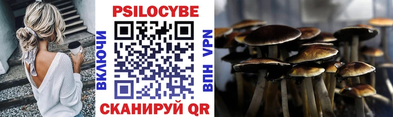 Псилоцибиновые грибы GOLDEN TEACHER  Екатеринбург 
